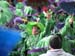 Mummer-08-032