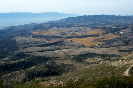 Summit View 8