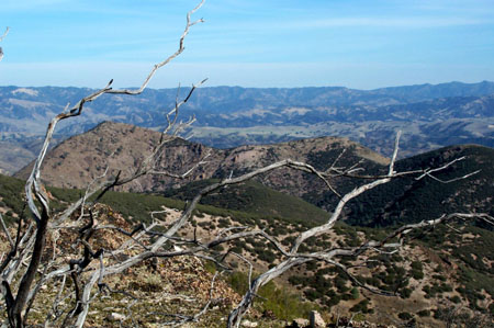 View 3