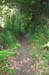 Path