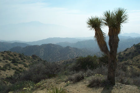 Eureka Peak Summit View