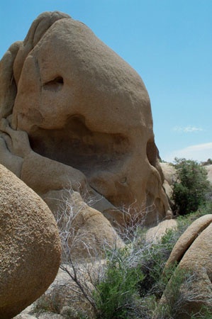 Skull Rock 2