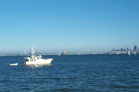 Bay Bridge & Alcatras