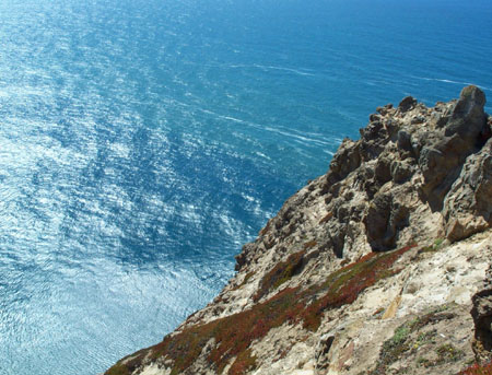 Point Reyes Views 1
