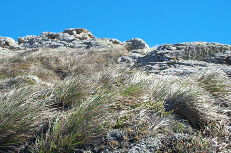 Point Reyes Views 12