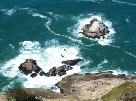 Point Reyes Views 4