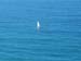 Sailboat 1
