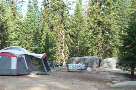 Camp