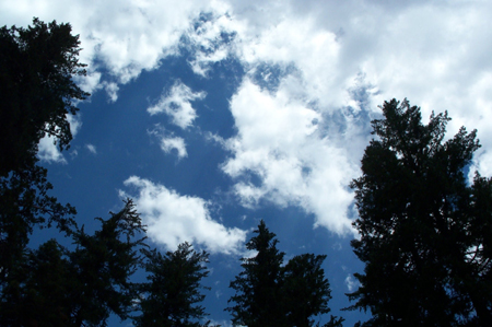 Sky 1