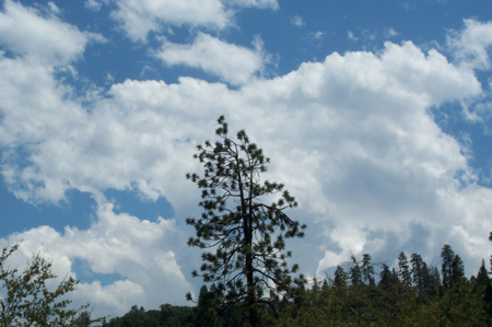 Sky 2