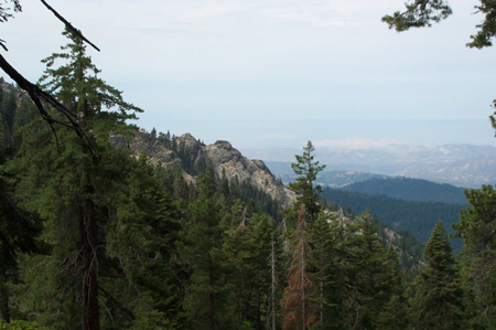 View 1