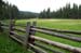 Meadow 1