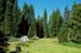 Meadow 3