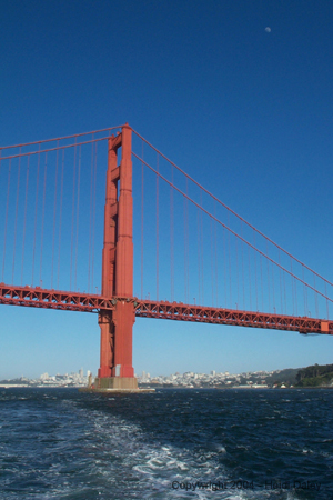 Bridge 1