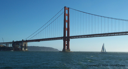Bridge 11