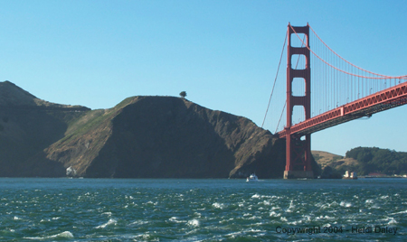 Bridge 3