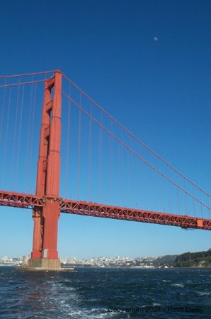 Bridge 4