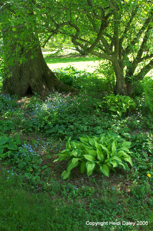 Flower Bed 3 at Birkshire Botanical Garden