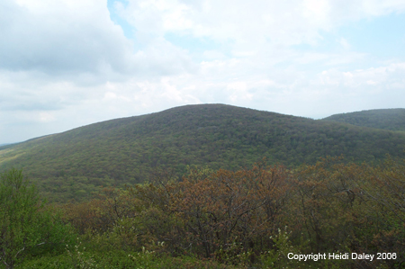 Frissle Mountain from Brace Mountain