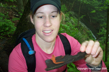 Melissa with Salamander
