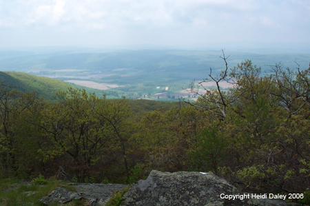 View from Trail to  Brace Peak