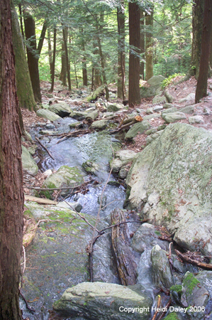 Water fall on Bash Bish Falls Trail 2
