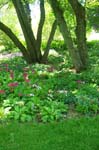Flower Bed at Birkshire Botanical Garden