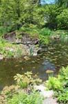 Pond 2 at Birkshire Botanical Garden