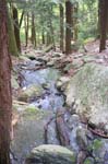 Water fall on Bash Bish Falls Trail 2