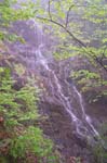 Waterfall on Trail to Brace Peak