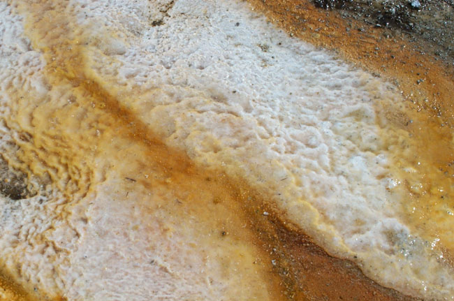 Texture
