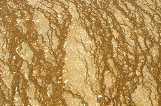 Texture