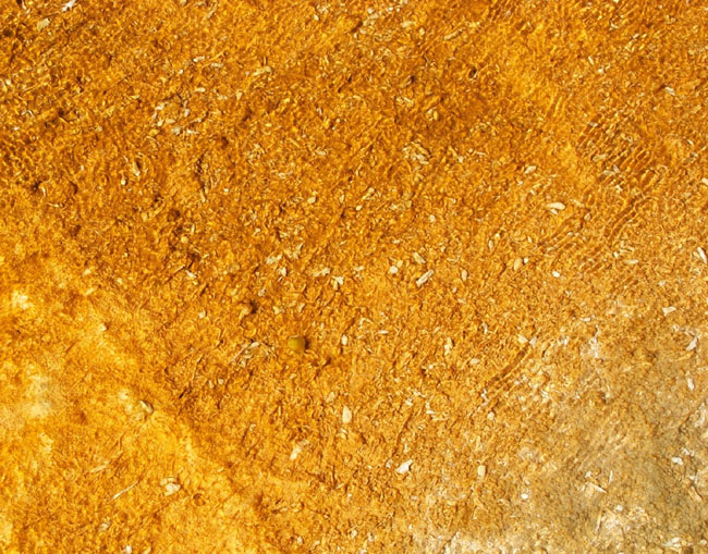Texture