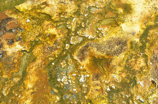 Texture