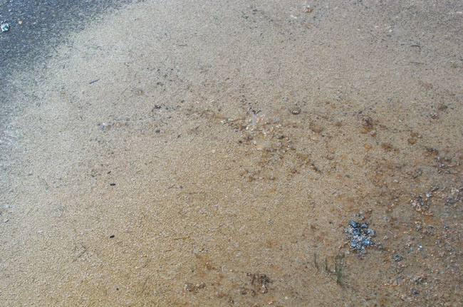 Texture