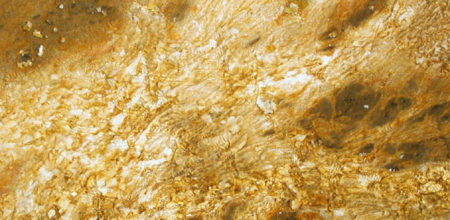 Texture