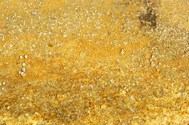 Texture