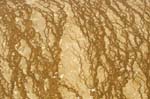 Texture