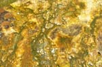 Texture