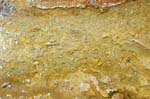 Texture