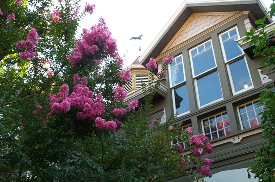 Outside