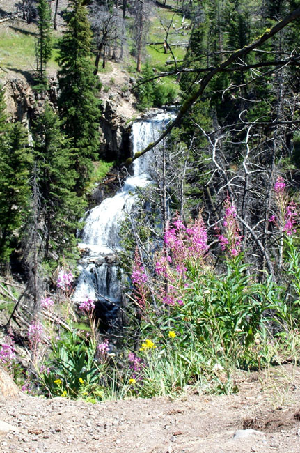 Falls