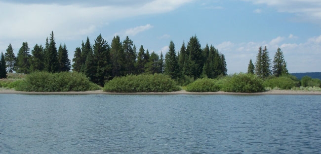 Stevenson