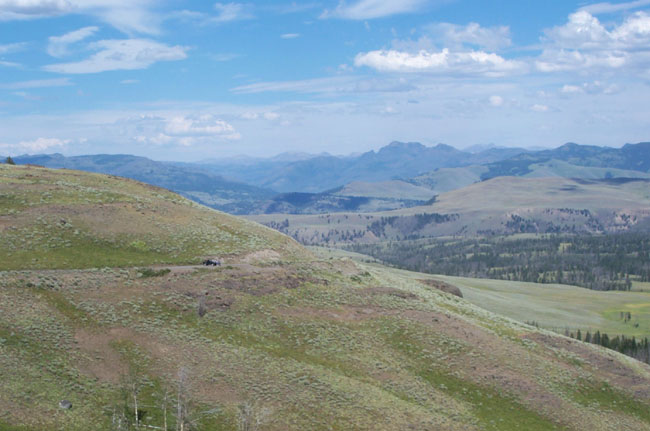 Vista