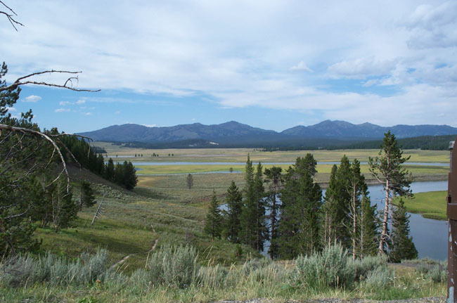 Vista
