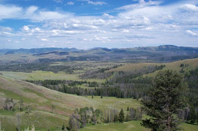 Vista