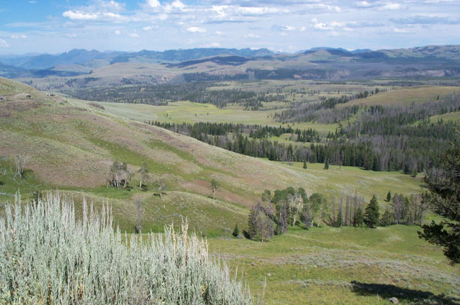 Vista