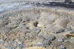 Geyser