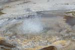Geyser