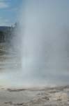 Geyser